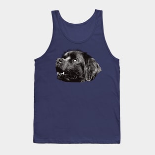 Newfoundland - Newfoundland Christmas Gifts Tank Top